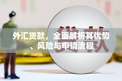 阿鲁科尔沁旗外汇贷款，全面解析其优势、风险与申请流程