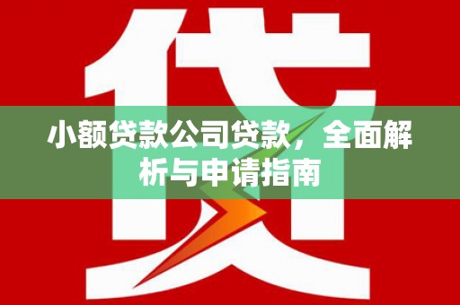 阿鲁科尔沁旗小额贷款公司贷款，全面解析与申请指南