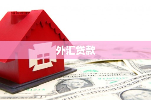 阿鲁科尔沁旗外汇贷款
