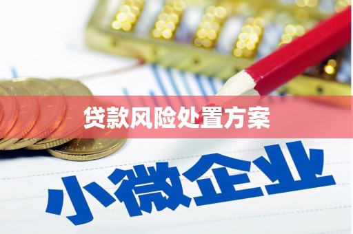 阿鲁科尔沁旗贷款风险处置方案