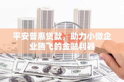 阿鲁科尔沁旗平安普惠贷款，助力小微企业腾飞的金融利器