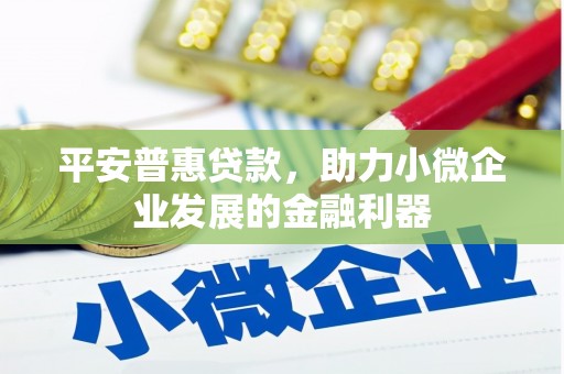 阿鲁科尔沁旗平安普惠贷款，助力小微企业发展的金融利器