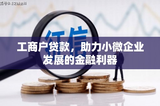 阿鲁科尔沁旗工商户贷款，助力小微企业发展的金融利器