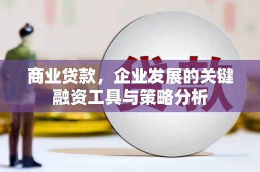 阿鲁科尔沁旗商业贷款，企业发展的关键融资工具与策略分析
