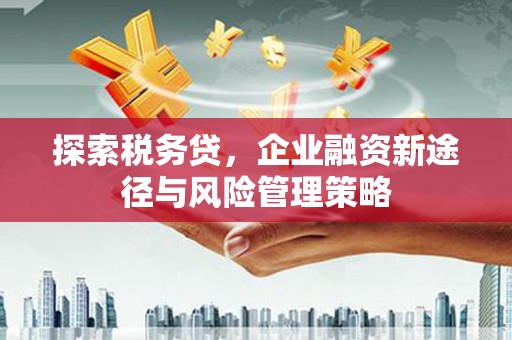 阿鲁科尔沁旗探索税务贷，企业融资新途径与风险管理策略