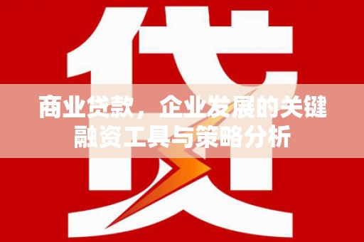 阿鲁科尔沁旗商业贷款，企业发展的关键融资工具与策略分析
