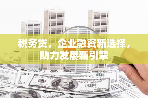 阿鲁科尔沁旗税务贷，企业融资新选择，助力发展新引擎
