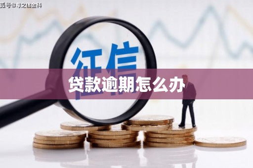 阿鲁科尔沁旗贷款逾期怎么办