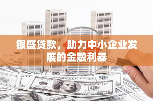 阿鲁科尔沁旗银盛贷款，助力中小企业发展的金融利器