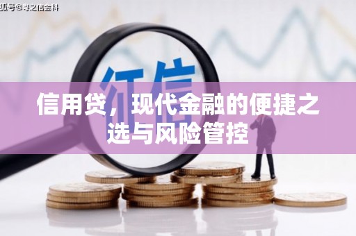 阿鲁科尔沁旗信用贷，现代金融的便捷之选与风险管控