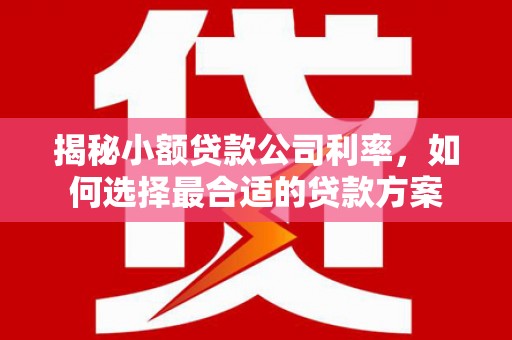 阿鲁科尔沁旗揭秘小额贷款公司利率，如何选择最合适的贷款方案