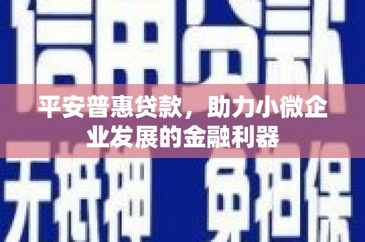 阿鲁科尔沁旗平安普惠贷款，助力小微企业发展的金融利器