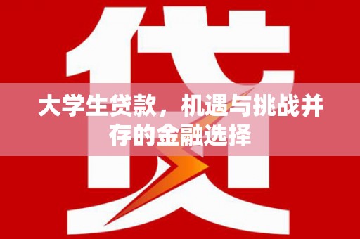阿鲁科尔沁旗大学生贷款，机遇与挑战并存的金融选择