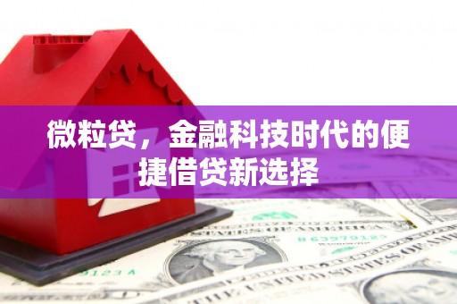 阿鲁科尔沁旗微粒贷，金融科技时代的便捷借贷新选择