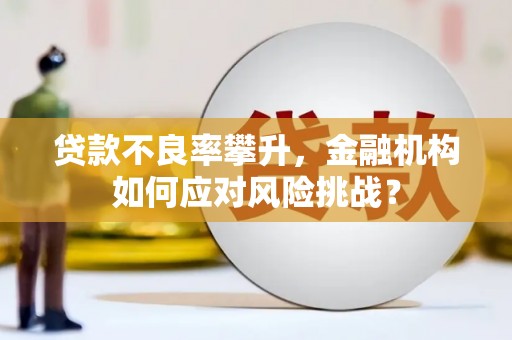 阿鲁科尔沁旗贷款不良率攀升，金融机构如何应对风险挑战？