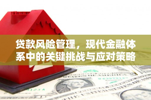 阿鲁科尔沁旗贷款风险管理，现代金融体系中的关键挑战与应对策略