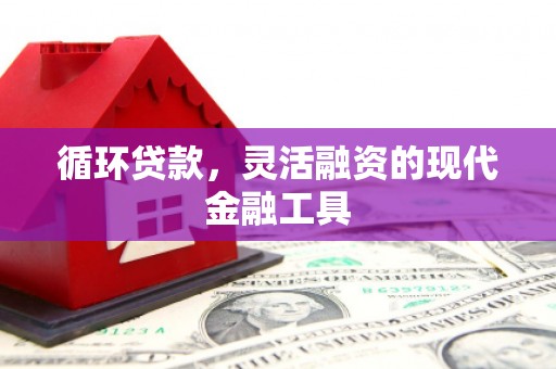 阿鲁科尔沁旗循环贷款，灵活融资的现代金融工具