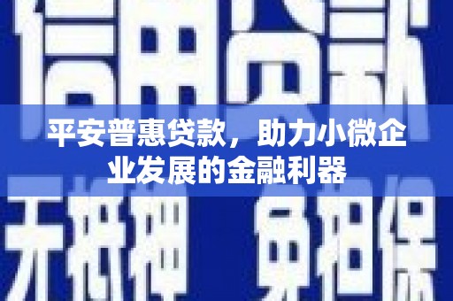 阿鲁科尔沁旗平安普惠贷款，助力小微企业发展的金融利器