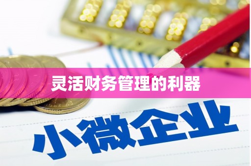 阿鲁科尔沁旗灵活财务管理的利器